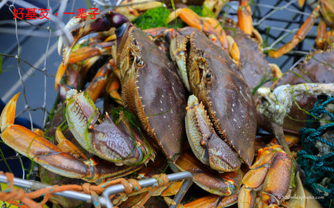 2只当天出水珍宝蟹（Dungeness Crab）(活，周二，6/10)